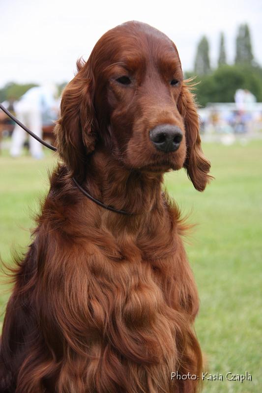 Copper's Champagne On Ice At Aoibheanne (9).jpg